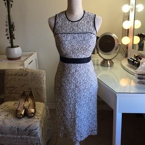Stunning lace dress with Navy details.  Gorgeous